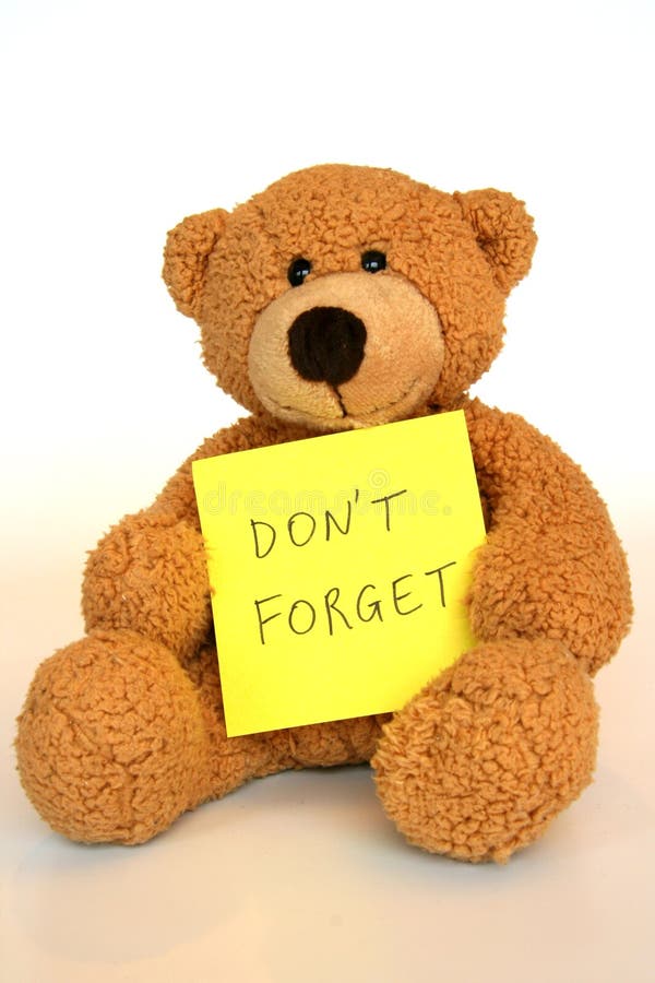 Teddy bear with an important message. Teddy bear with an important message