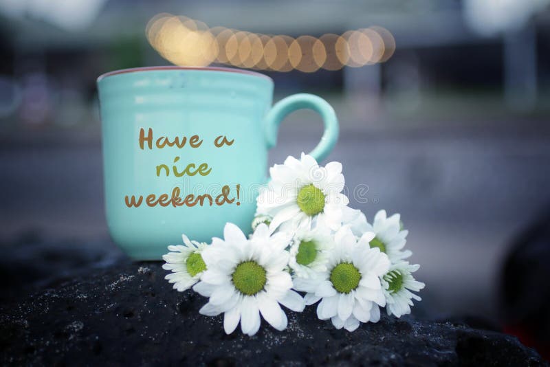 Weekend greeting with text message written on a cup of tea or coffee with white daisy flowers on sea rock and bokeh light background. Have a nice weekend. Weekend greeting with text message written on a cup of tea or coffee with white daisy flowers on sea rock and bokeh light background. Have a nice weekend