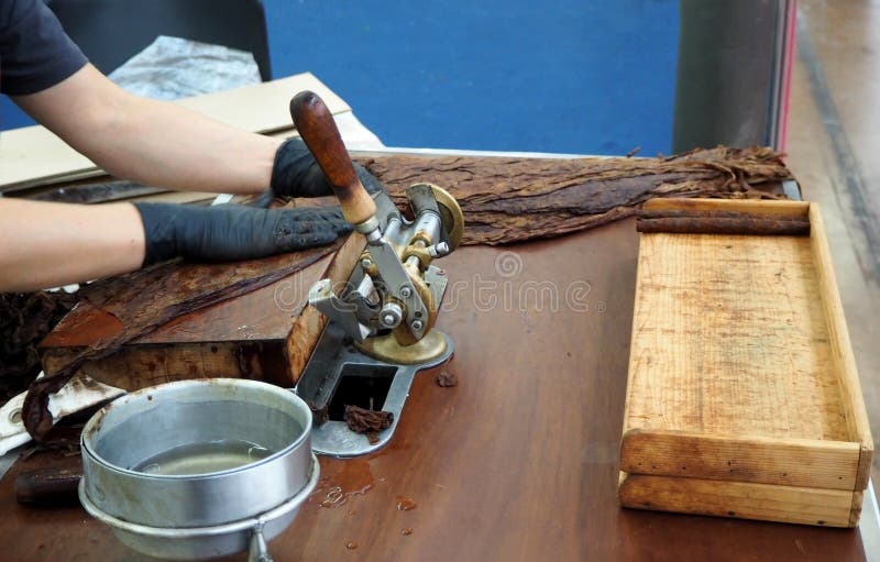 Met de hand gemaakte sigarenvoorbereiding met grote tabaksbladeren stock foto's Met de hand gemaakte sigarenvoorbereiding met grote tabaksbladeren stock foto's