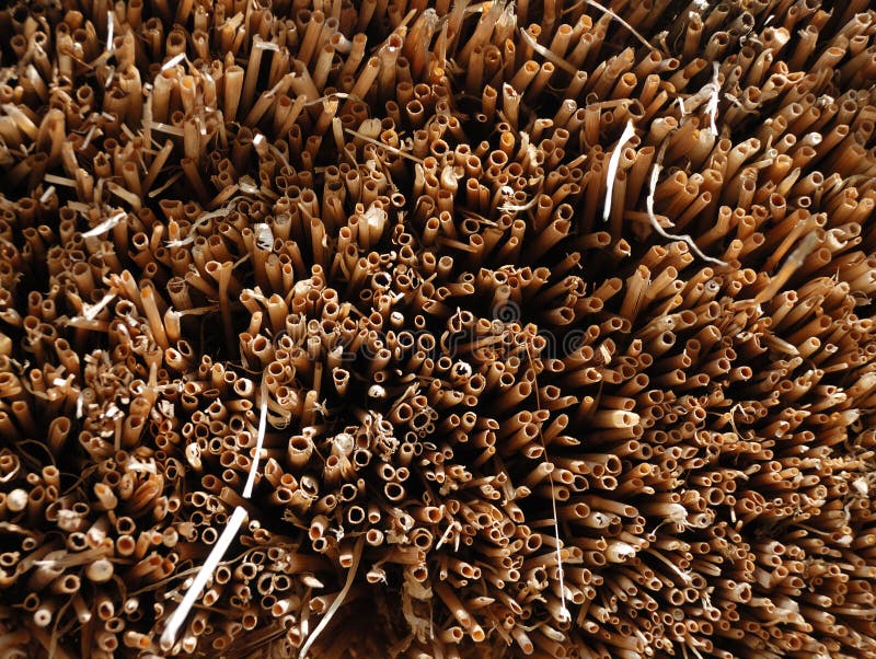Met stro bedek achtergrond van de besnoeiing van strostammen, close-up stock fotografie Met stro bedek achtergrond van de besnoeiing van strostammen, close-up stock fotografie