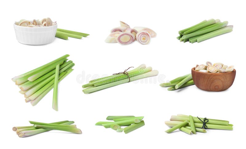 Met vers gearomatiseerd citroengras op witte achtergrond stock foto