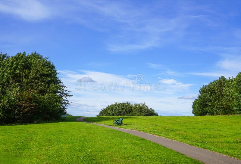 A metal bench in landscape of meadow with green tree and cloudy blue sky