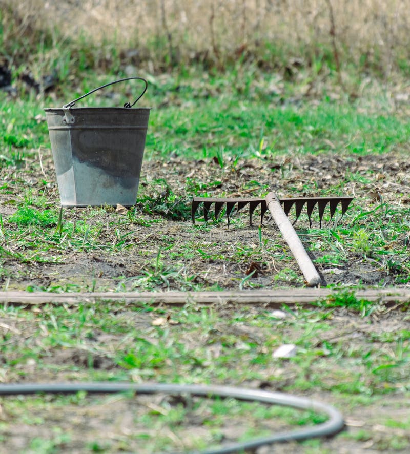 Metal Bucket and Rake on the Ground in the Garden. Selective Focus
