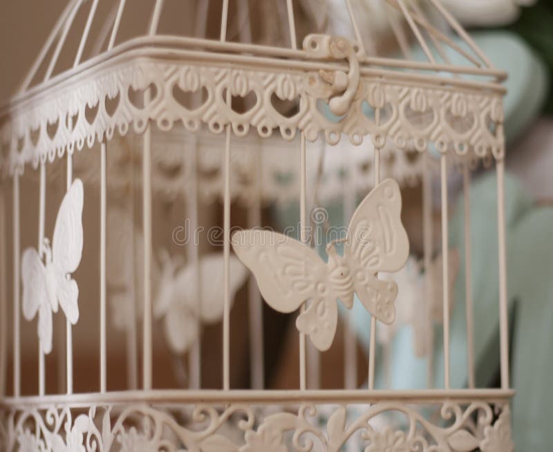 Metal Cage with White Butterfly for Decoration Stock Photo - Image