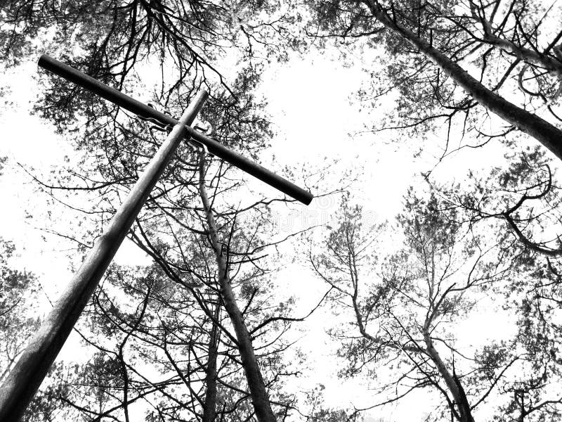 Metal cross and trees stock photos