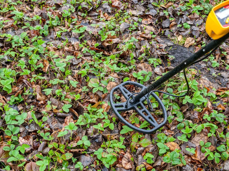 Metal detector, an electronic device that allows detecting metal objects in a neutral or weakly conducting environment stock photo