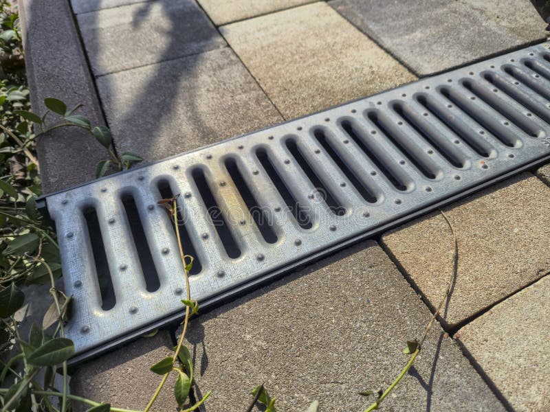 Metal drainage grate installed on pavement tiles, surrounded by green plants, capturing sunlight. Suitable for construction, lan. Capturing sunlight stock images, royalty-free photos and pictures
