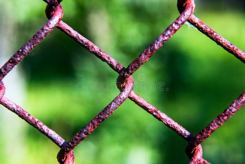 Metal mesh fence with a green blurred background