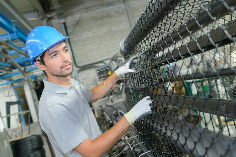 Metal Worker Fencing Factory Stock Photo Image of wire, young 263893864