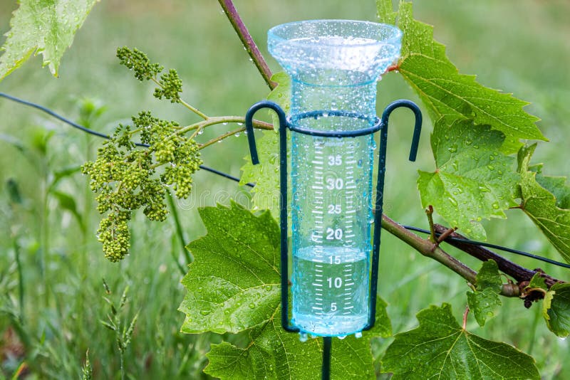 720 Rain Gauge Stock Photos - Free & Royalty-Free Stock Photos from  Dreamstime