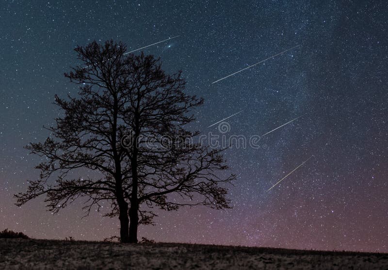 Meteors in the night sky