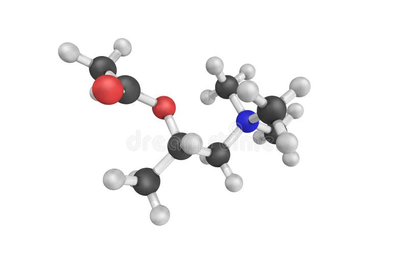 Methacholine, a synthetic choline ester that acts as a non-selective muscarinic receptor agonist in the parasympathetic nervous system. Methacholine, a synthetic choline ester that acts as a non-selective muscarinic receptor agonist in the parasympathetic nervous system.