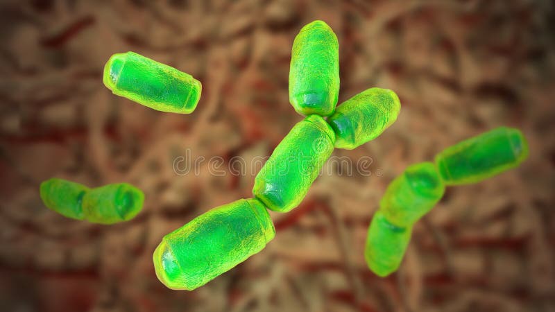 Methanobrevibacter smithii microorganisms, 3D illustration, the predominant archaeon in the microbiota of the human