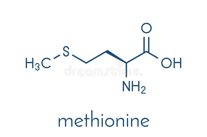 Methionine Molecule 3D Illustration. Stock Illustration Illustration