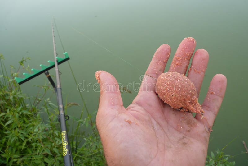 739 Bait Ball Fish Stock Photos - Free & Royalty-Free Stock Photos from  Dreamstime