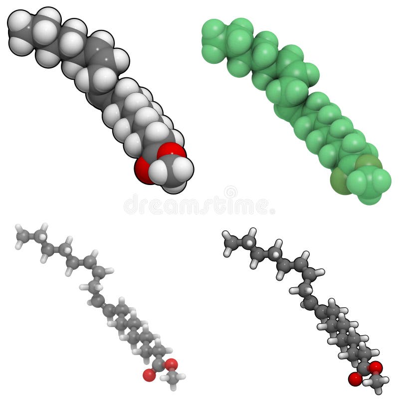 Methyl Lineolate (biodiesel) Molecule Stock Illustration Illustration