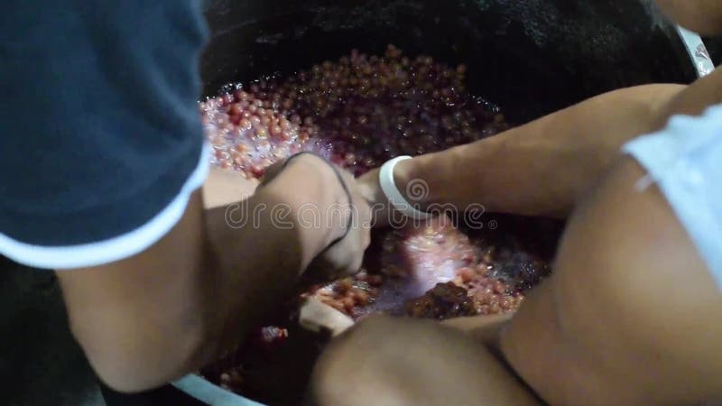 Metodo primitivo grezzo tradizionale di Bignay di vino domestico che elabora mano che schiaccia e che schiaccia della frutta