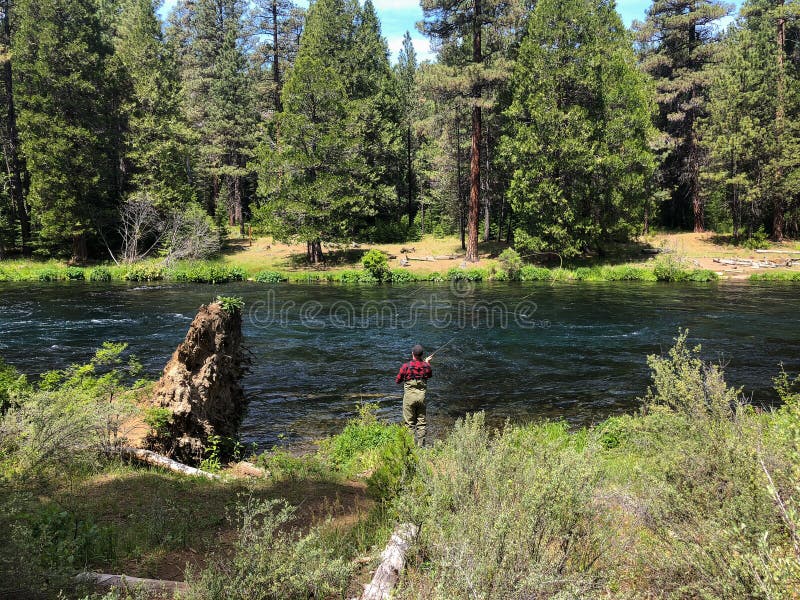 Metolius River Oregon Fly Fishing Trip with Fisherman Casting stockfotos Metolius River Oregon Fly Fishing Trip with Fisherman Casting stockfotos