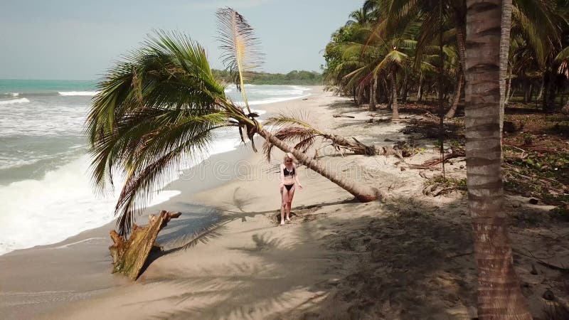 Metraje aéreo de drones en la playa con palmeras en palomino colombia.