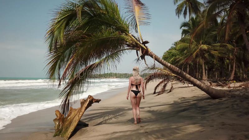 Metraje aéreo de una chica caminando y corriendo en una playa con palomino de palmeras