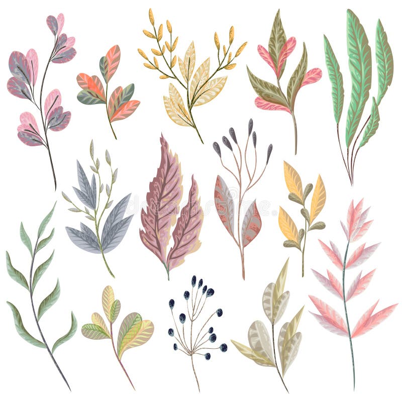 Metta con le piante e le foglie di fantasia Elementi decorativi di disegno floreale royalty illustrazione gratis