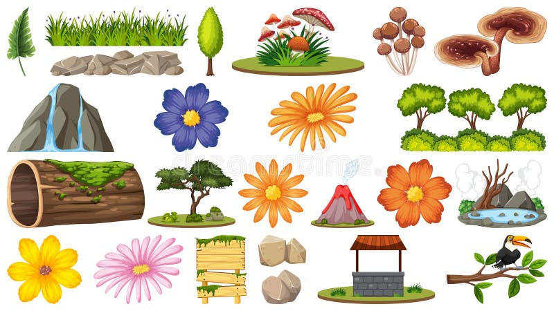Metta dei fiori differenti e delle cose della natura royalty illustrazione gratis Metta dei fiori differenti e delle cose della natura royalty illustrazione gratis