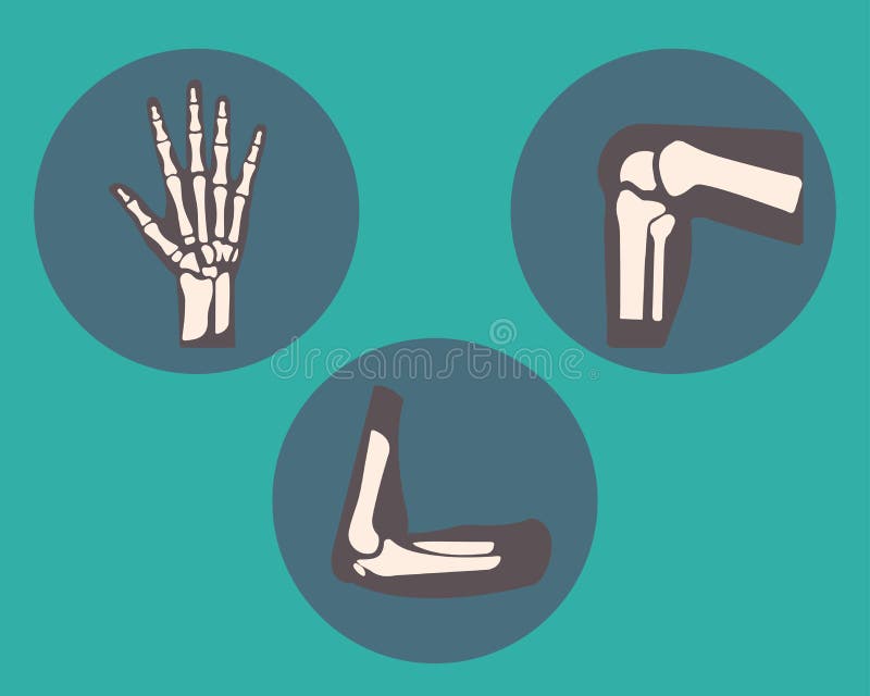 Metta del ginocchio, gomito e articolazioni della caviglia e polso, emblema o segno umano del centro diagnostico o della clinica royalty illustrazione gratis Metta del ginocchio, gomito e articolazioni della caviglia e polso, emblema o segno umano del centro diagnostico o della clinica royalty illustrazione gratis