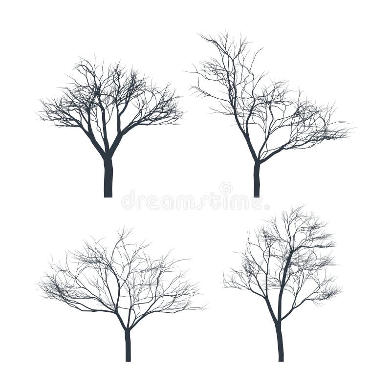 Metta delle siluette degli alberi su fondo bianco Albero nudo illustrazione vettoriale Metta delle siluette degli alberi su fondo bianco Albero nudo illustrazione vettoriale