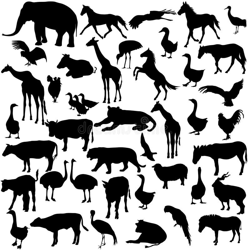 Metta gli animali e gli uccelli delle siluette nello zoo illustrazione vettoriale Metta gli animali e gli uccelli delle siluette nello zoo illustrazione vettoriale