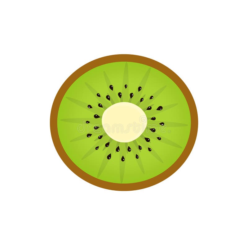 Metà di kiwi illustrazione di stock