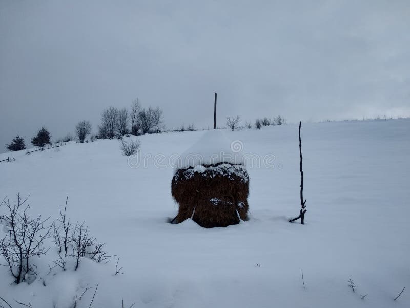 Meule de foin dans le village de Romoli, Roumanie la Transylvanie, saison d'hiver photos libres de droits Meule de foin dans le village de Romoli, Roumanie la Transylvanie, saison d'hiver photos libres de droits