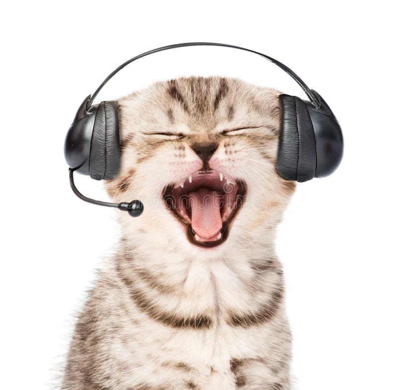 Mewing Kitten with Phone Headset. on White Background Stock Photo