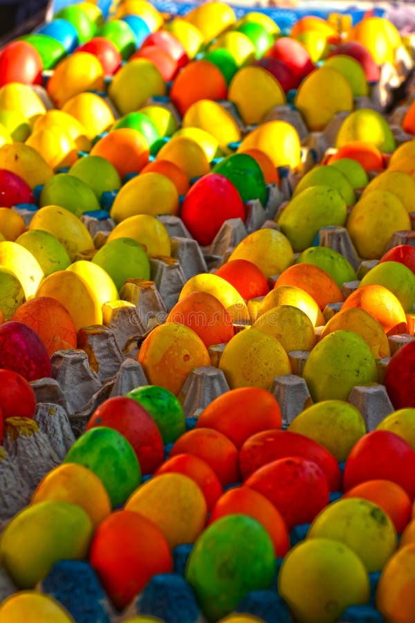 Mexicaans Kasarani royalty-vrije stock fotografie