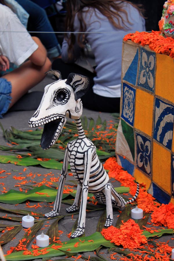 Mexicaanse kleurrijke hondskeleton dias DE los muertos dag van de dode dood royalty-vrije stock foto's Mexicaanse kleurrijke hondskeleton dias DE los muertos dag van de dode dood royalty-vrije stock foto's