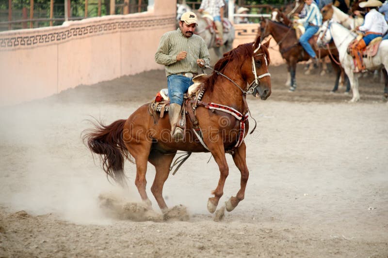 Mexican charros horseman on prancing horse, TX, US