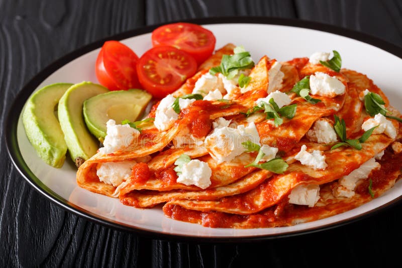 Mexican food: entomatadas with farm cheese, tomato sauce, greens