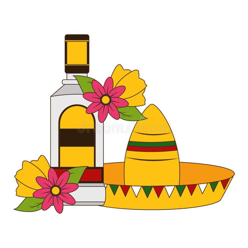 Mexican hat tequila stock vector. Illustration of fashion 144947123