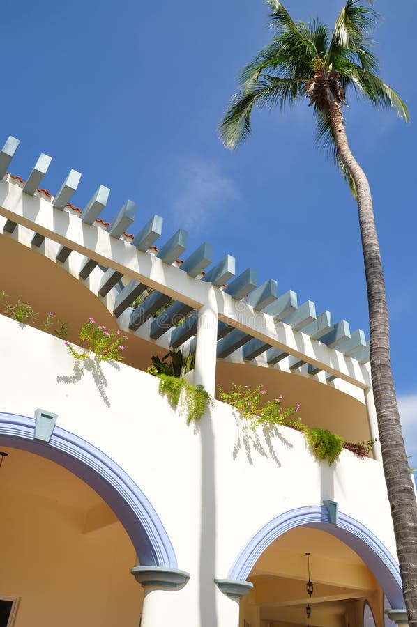 Mexican home and palm tree