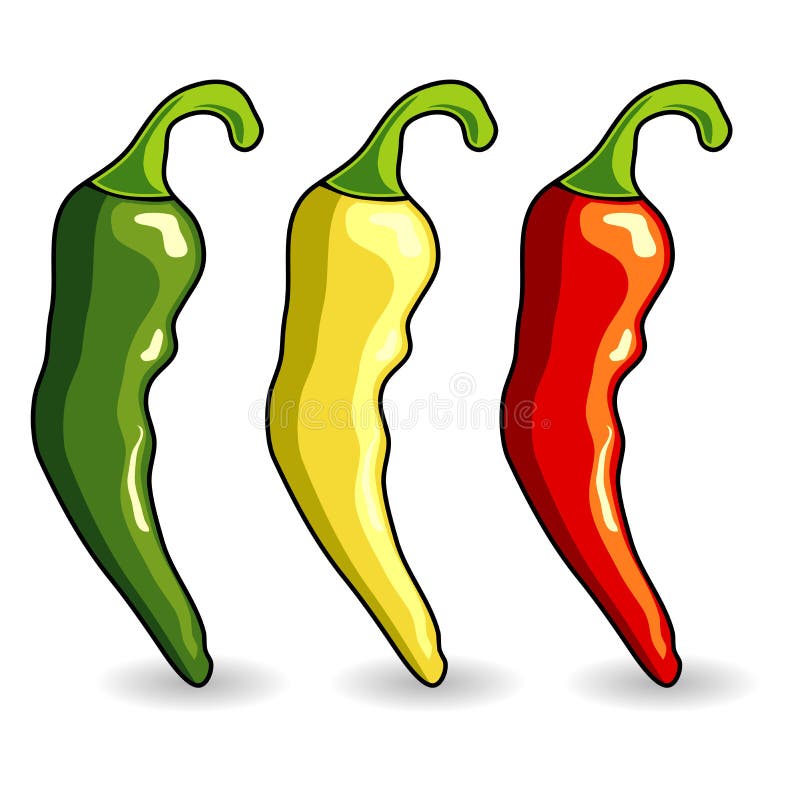 Mexican hot chili peppers royalty free illustration Mexican hot chili peppers royalty free illustration
