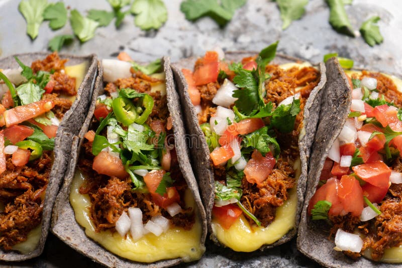 Mexican Quesadillas with Shredded Pork Also Called Chilorio Stock Photo Image of plate