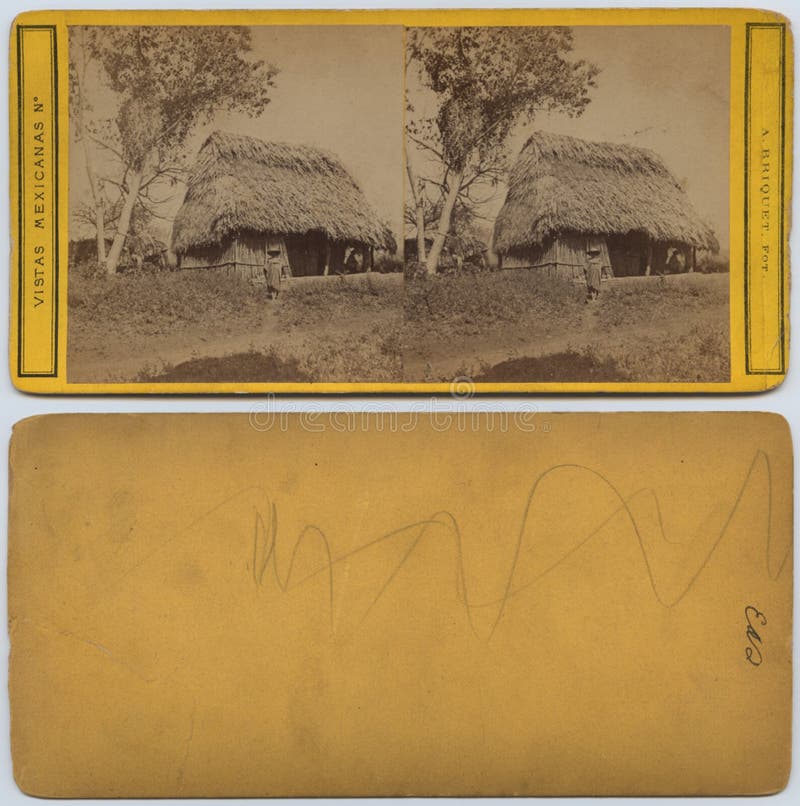 [Mexican Straw Hut] Picture. Image 222627967