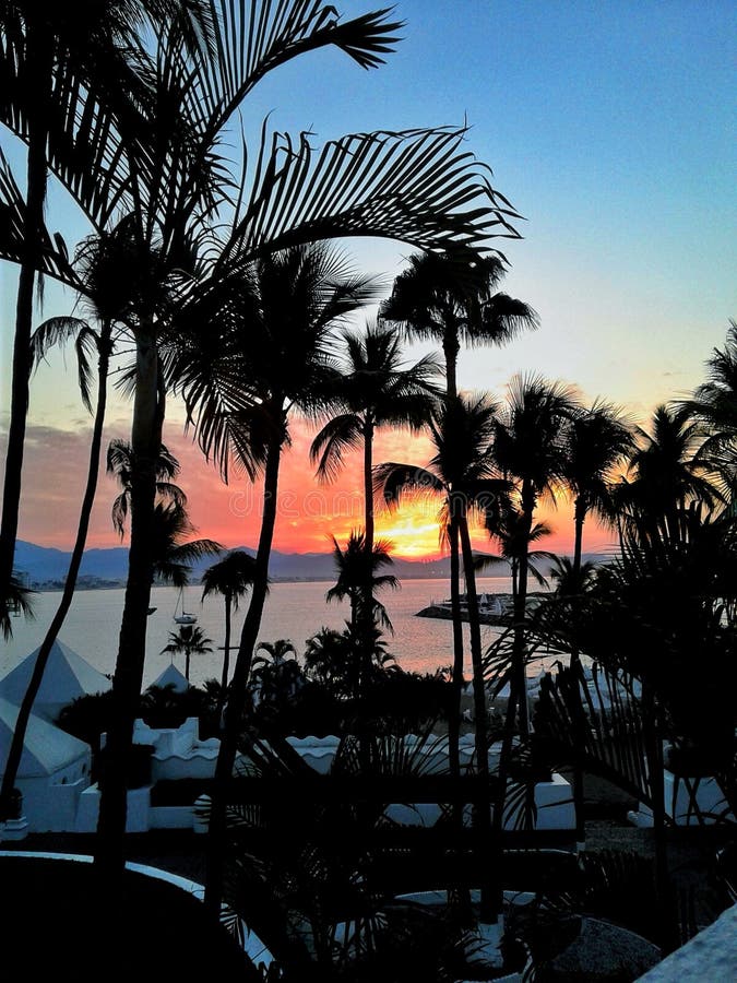 The sun rises over Manzanillo Bay with palm trees at Las Hadas Resort in Manzanillo, Colima, Mexico. The sun rises over Manzanillo Bay with palm trees at Las Hadas Resort in Manzanillo, Colima, Mexico