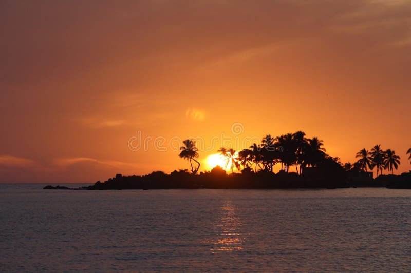 A Mexican Sunset with Palm Trees