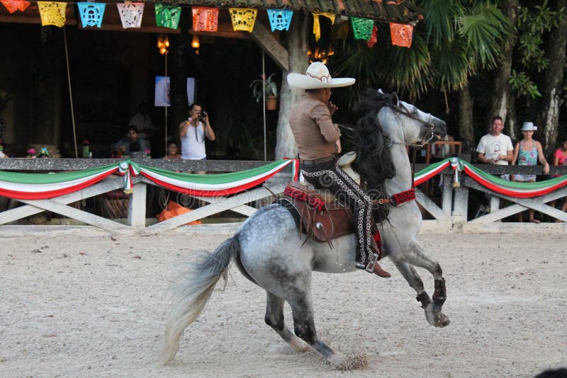Mexicansk cowboy som visar hans akrobatiska expertis arkivbilder Mexicansk cowboy som visar hans akrobatiska expertis arkivbilder