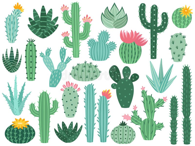 Mexicansk kaktus och aloe Blommar den taggiga växten för öknen, Mexiko kakturs och den tropiska hem- växter isolerade vektorsamli stock illustrationer