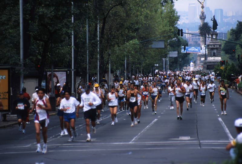 Mexico city marathon 2026