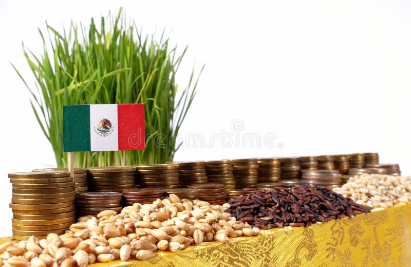 Mexico flag waving with stack of money coins and piles of wheat