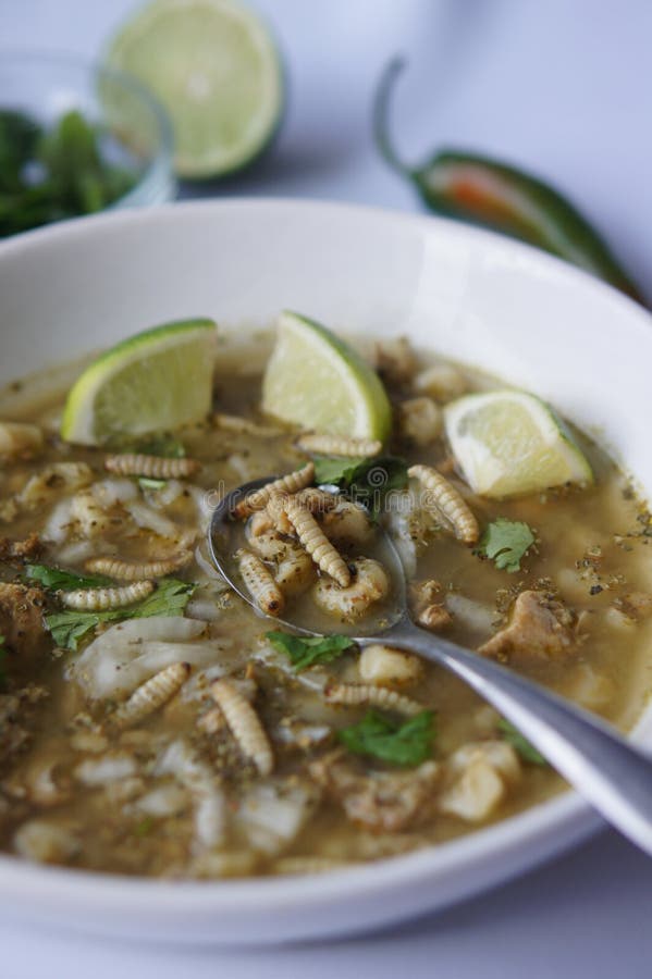 Mexikan gröna Posole med Waxworms royaltyfri fotografi Mexikan gröna Posole med Waxworms royaltyfri fotografi