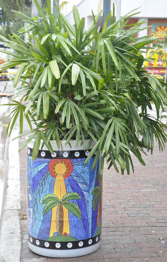 Miami,august 9th: Little Havana Community Street Flower from Miami in Florida USA