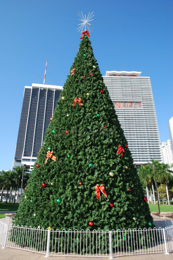 Natale Miami.Christmas Tree In Miami Stock Image Image Of Vertical 36121223